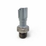 فشنگی روغن 206 207 رانا تارا بیترون ایساکو