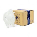 منبع انبساط آب رادیاتور تارا ایساکو