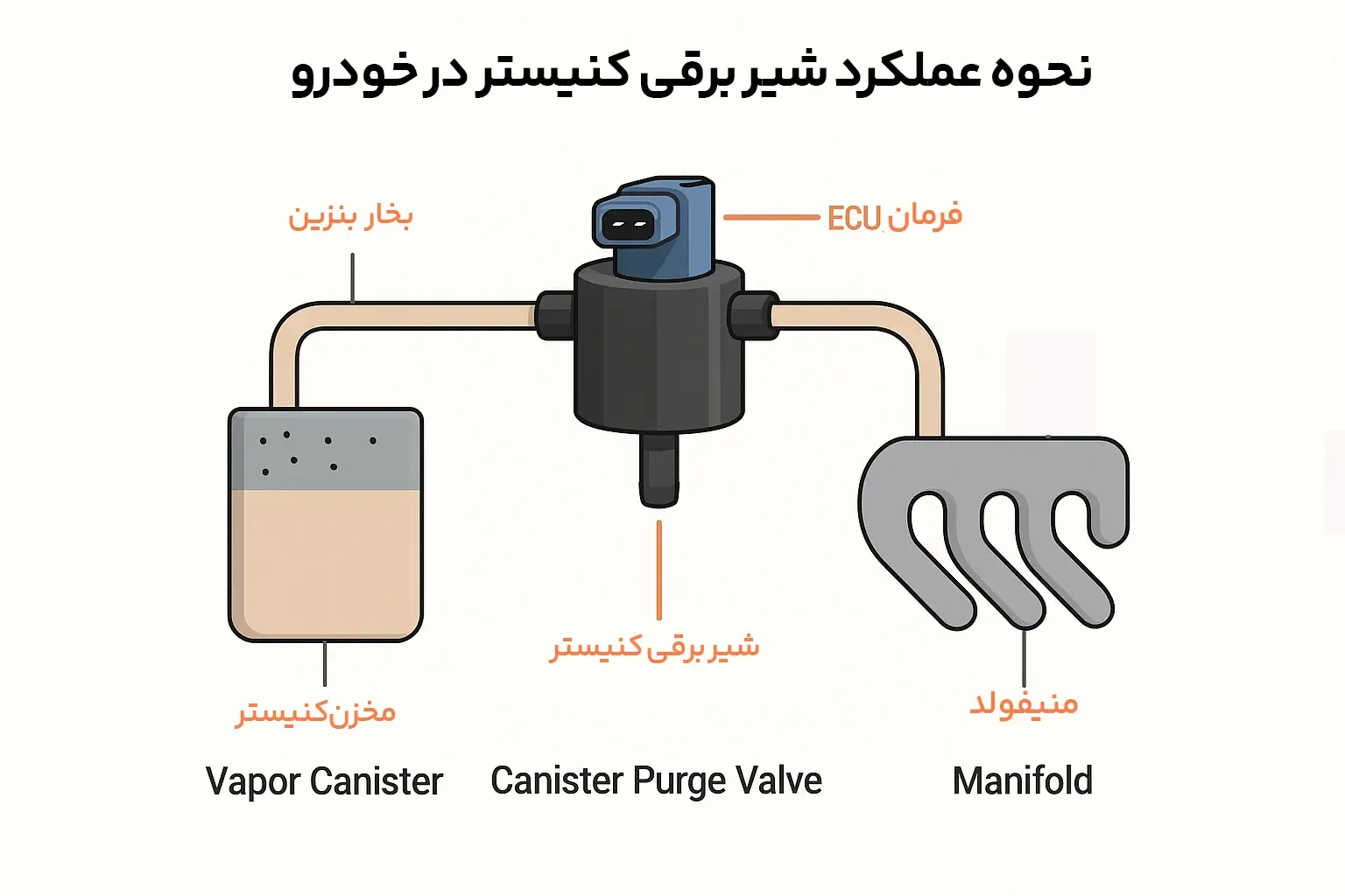شماتیک فارسی عملکرد شیر برقی کنیستر و مسیر بخار بنزین در سیستم EVAP خودرو